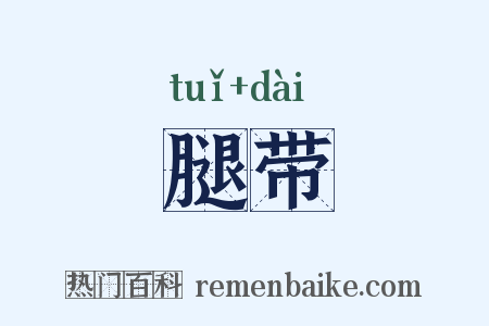 腿带是什么意思的图片